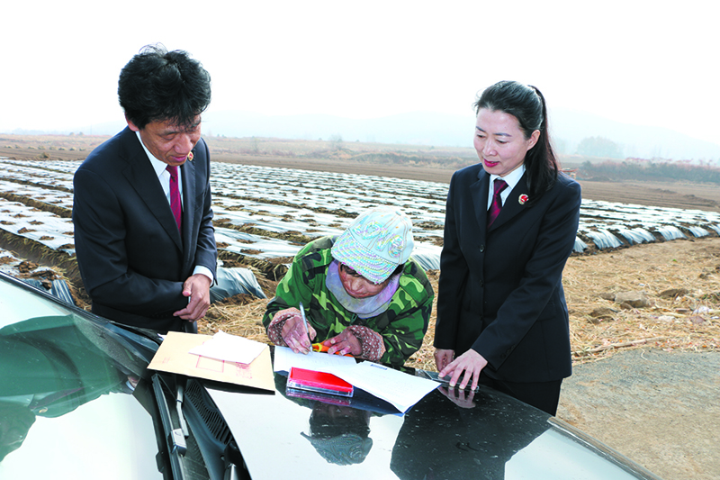 送上司法救助金