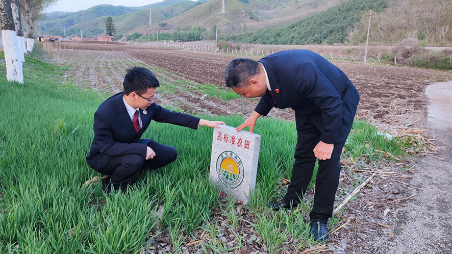檢察官查看高標(biāo)準農(nóng)田標(biāo)志