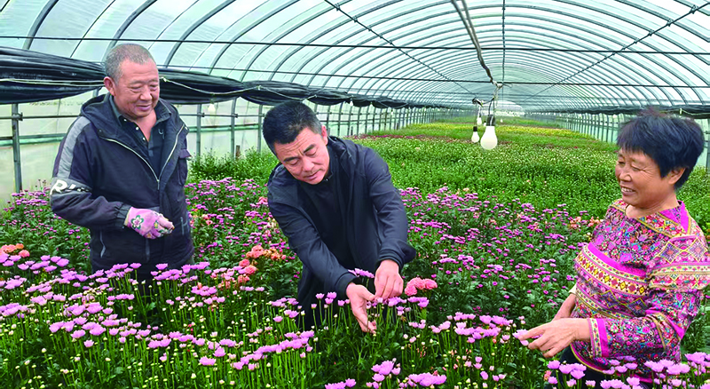 b5b8aab905a4457cf5fbd01ad7063274