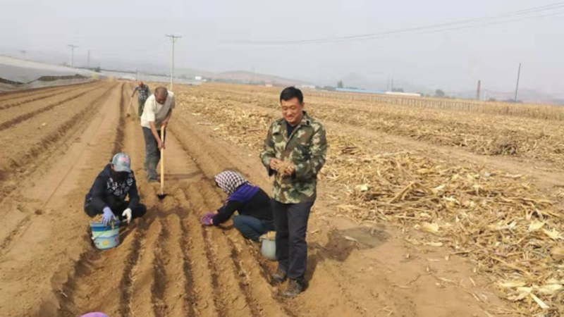 何紅睿：點亮盞盞燈 照亮“脫貧路”